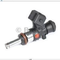 Bosch Injection Valve (62238)