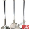 GSC P-D Nissan TB48DE 23-8N Chrome Polished Exhaust Valve - 33.50mm Head (STD) - SET 12