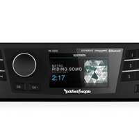 Rockford Fosgate 1998-2013 Harley Davidson Digital Media Receiver/ Head Unit